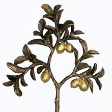 Load image into Gallery viewer, Monachello Lemon Tree