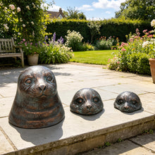 Load image into Gallery viewer, Seal Head Trio