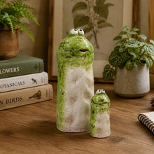 Load image into Gallery viewer, Flip &amp; Flop - Tiny Tails Goggle Frogs