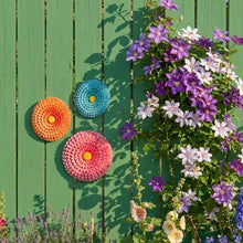 Load image into Gallery viewer, Flower Wall Plates (Set of 3)