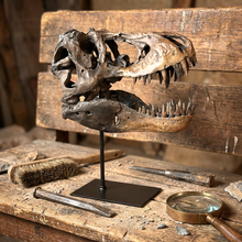 Load image into Gallery viewer, Dinosaur on a Stand