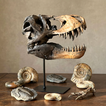 Load image into Gallery viewer, Dinosaur on a Stand