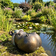 Load image into Gallery viewer, Hippo Head - Medium