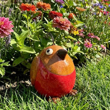 Load image into Gallery viewer, Crazy Bird - Robin