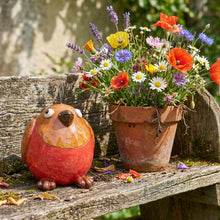 Load image into Gallery viewer, Crazy Bird - Robin