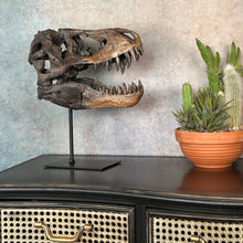 Load image into Gallery viewer, Dinosaur on a Stand