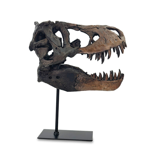 Dinosaur on a Stand
