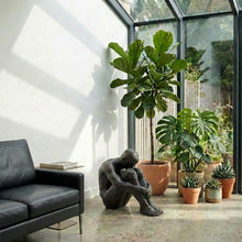 Load image into Gallery viewer, Large Sitting Man Bronze
