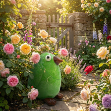 Load image into Gallery viewer, Crazy Bird - Kiwi