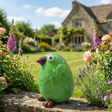 Load image into Gallery viewer, Crazy Bird - Kiwi
