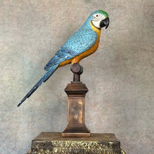 Load image into Gallery viewer, Macaw The Parrot