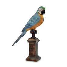 Load image into Gallery viewer, Macaw The Parrot