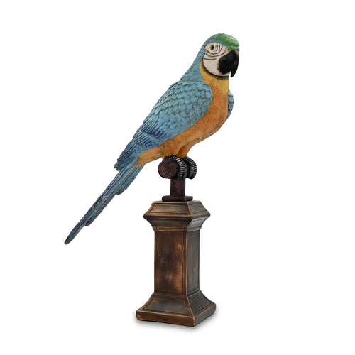 Macaw The Parrot