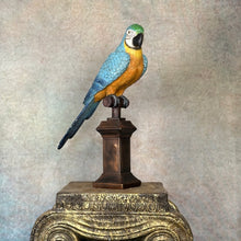 Load image into Gallery viewer, Macaw The Parrot