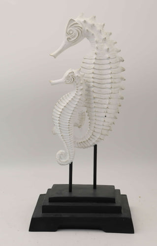 Pair of Seahorses