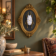 Load image into Gallery viewer, Stag Beetle - Wall Art