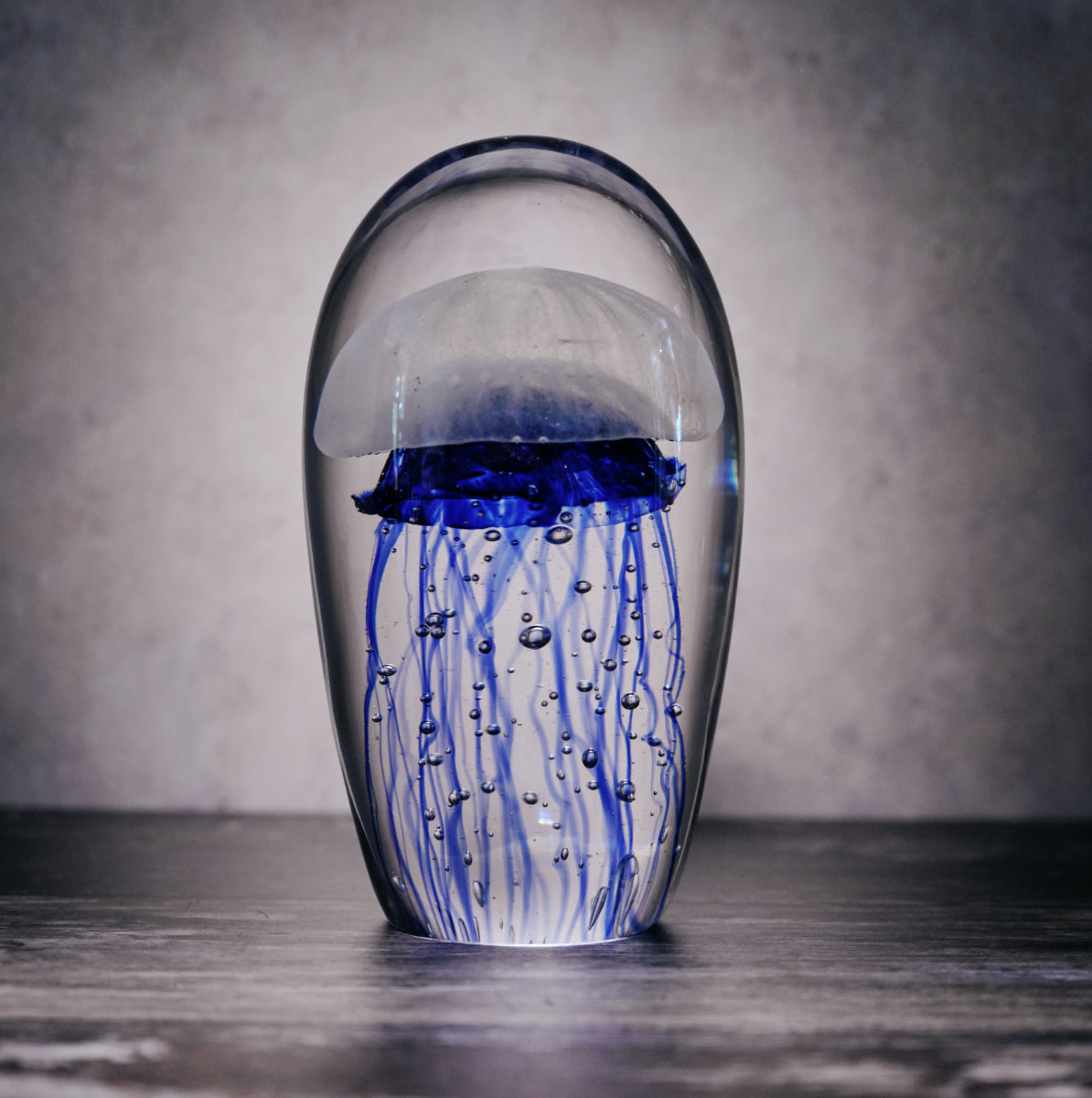 blue box jelly fish Large Blue Box Jellyfish Paperweight – Bentley & Bo