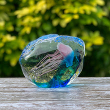 Load image into Gallery viewer, Pink Jellyfish in Blue Ice Paperweight