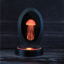 Load image into Gallery viewer, Colour Changing Jellyfish with LED/USB Base