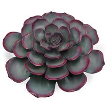 Load image into Gallery viewer, Cactus Wall Art Plate