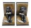 Dog Reading Bookends