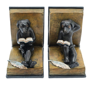 Dog Reading Bookends