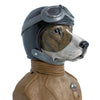 RAF Dog Bust