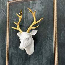 Load image into Gallery viewer, White and Gold Stag Head