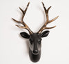 Black and Gold Stag Head