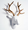 White and Gold Stag Head