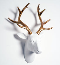 Load image into Gallery viewer, White and Gold Stag Head