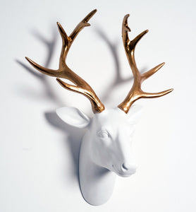 White and Gold Stag Head