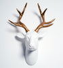 White and Gold Stag Head