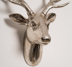 Champagne Stag Head