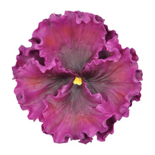 Load image into Gallery viewer, Pansy Wall Art Plate