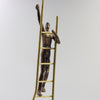 Man on Gold Ladder