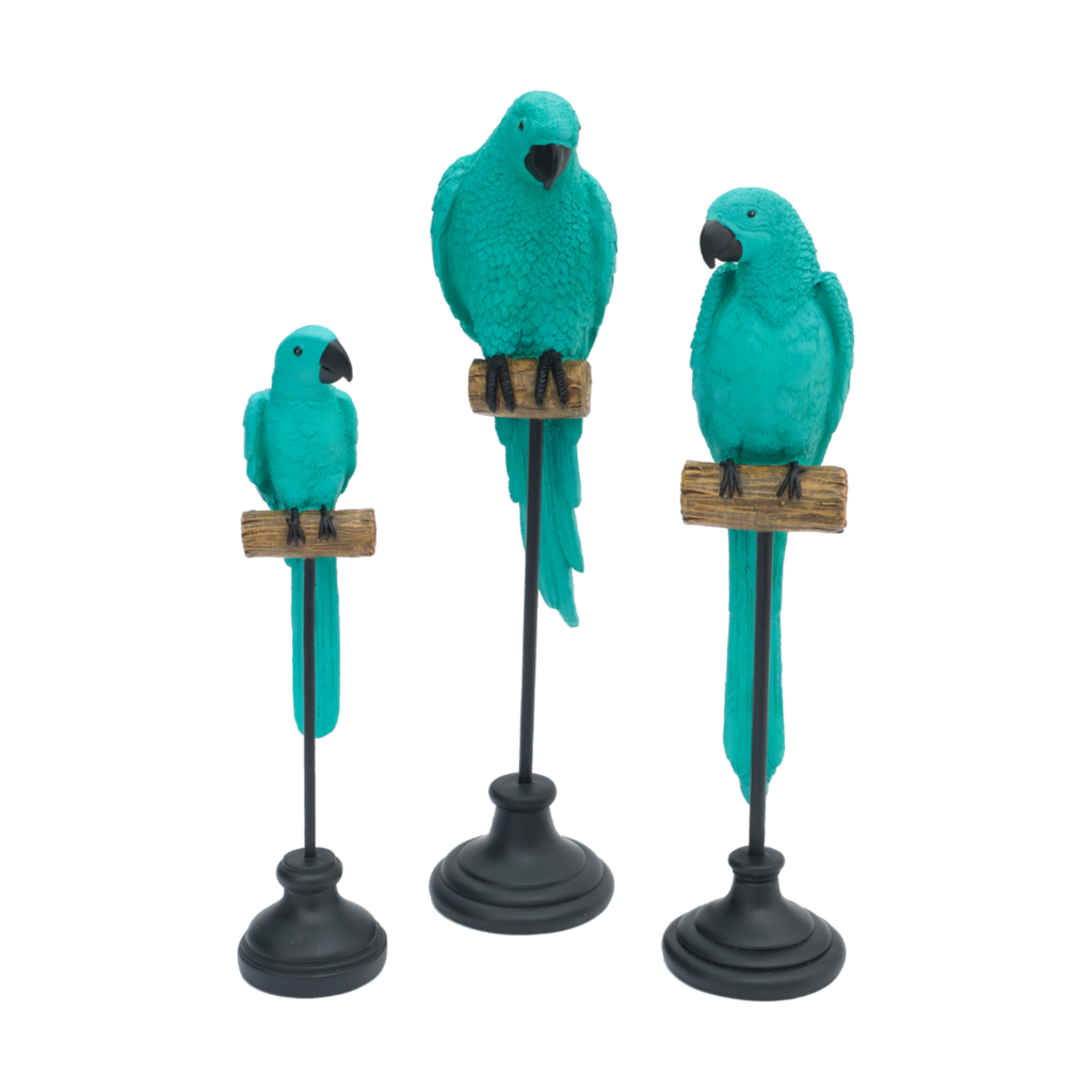 Parrot on a Perch (Medium)