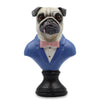 Suited up! Pug