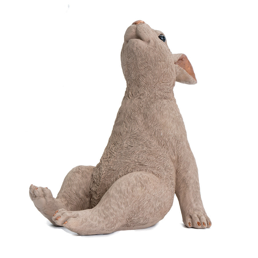 Posh Pets - Beige and Gold Rabbit – Bentley & Bo