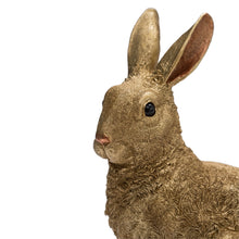 Load image into Gallery viewer, Posh Pets - Gold Rabbit