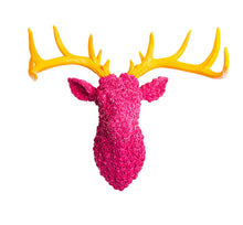 Load image into Gallery viewer, Rose Stags Head