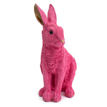 Load image into Gallery viewer, Posh Pets - Pink and Gold Rabbit