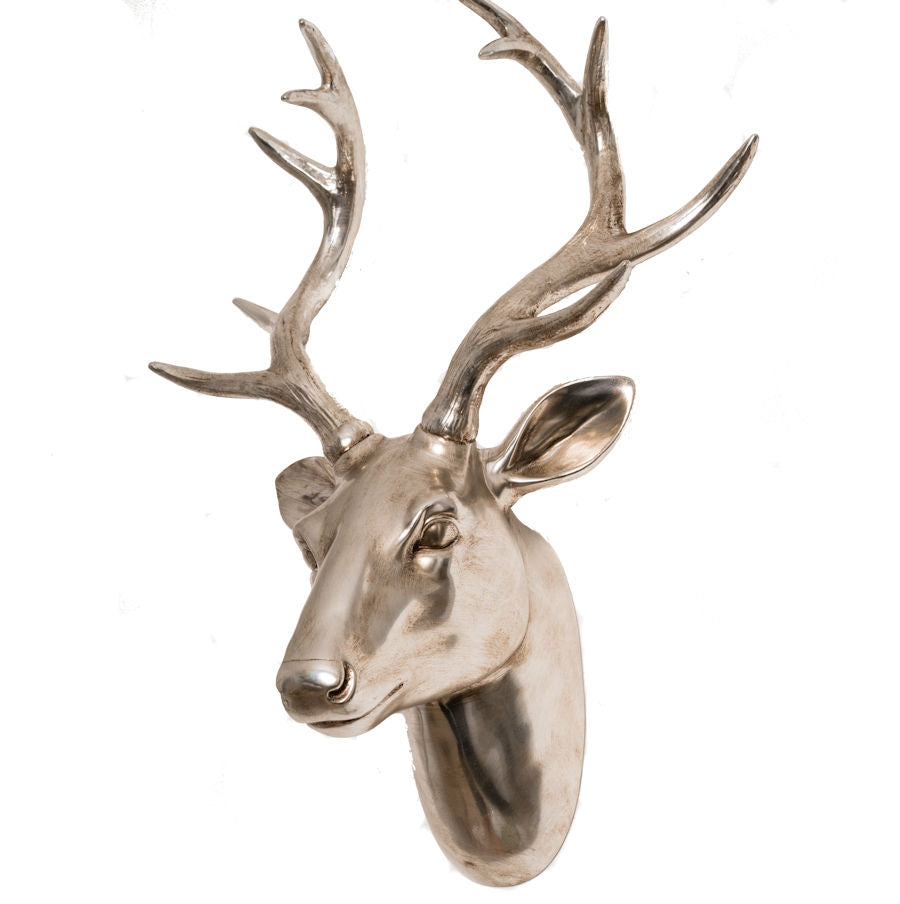 Champagne Stag Head