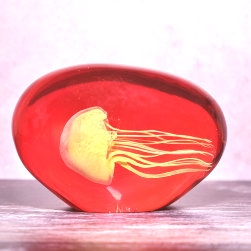 Yellow Jellyfish in Red Glass Paperweight